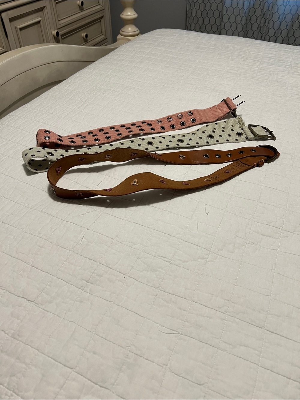 American Eagle Outfitters Tan Brown Leather Grommet Belt